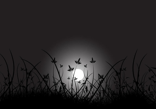 Moon在草地上