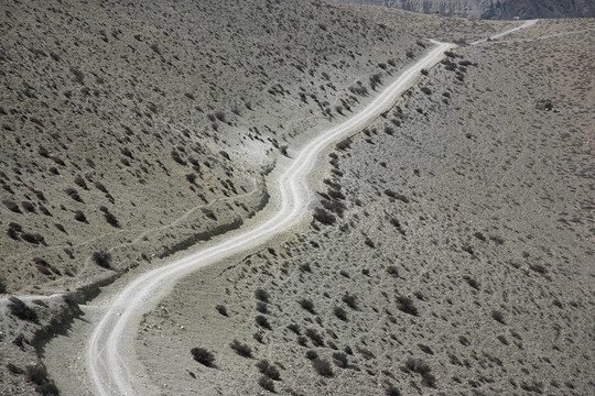 蜿蜒的道路