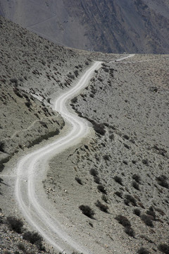 蜿蜒的道路