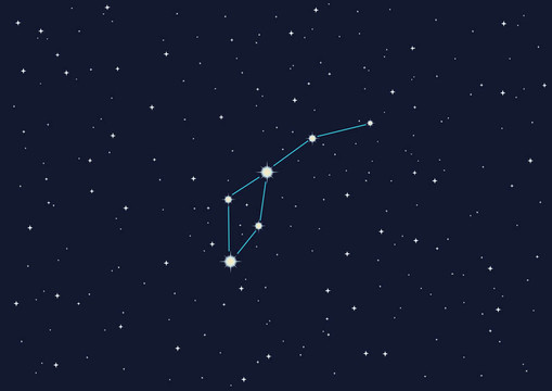 海豚星座