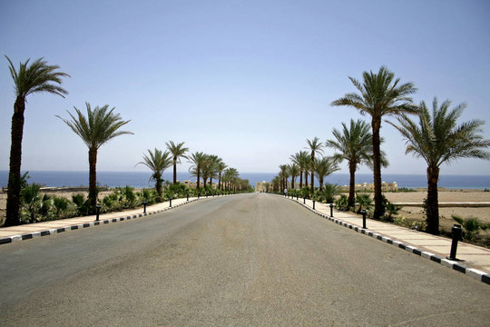 沙漠公路