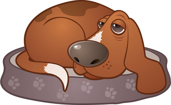 昏昏欲睡的獵犬