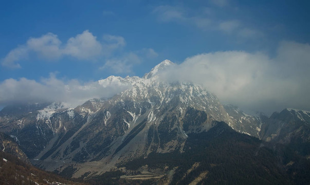 冬山