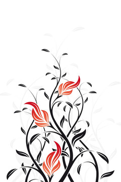 花的漩渦