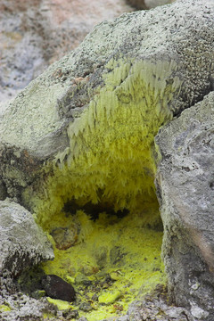 火山口的底部