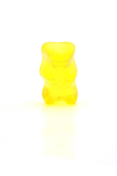 橡皮糖熊