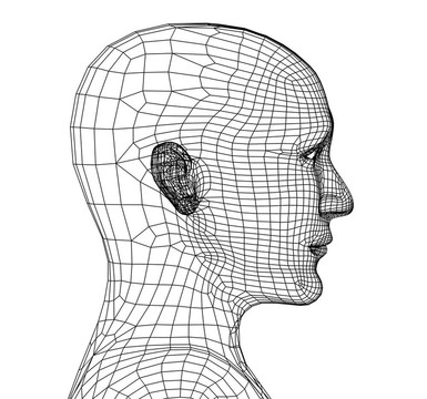 3D網(wǎng)格的人的頭