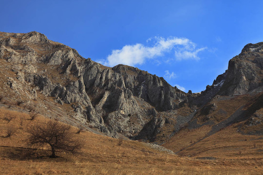 trascau山；羅馬尼亞
