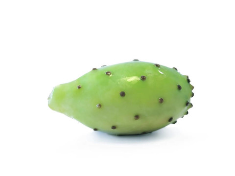 仙人掌圖一