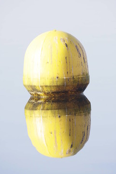 黃浮標(biāo)