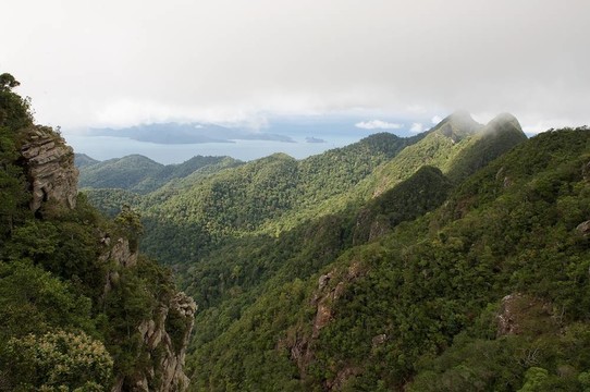 山景
