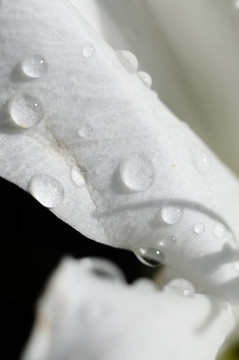 雨滴錕絪