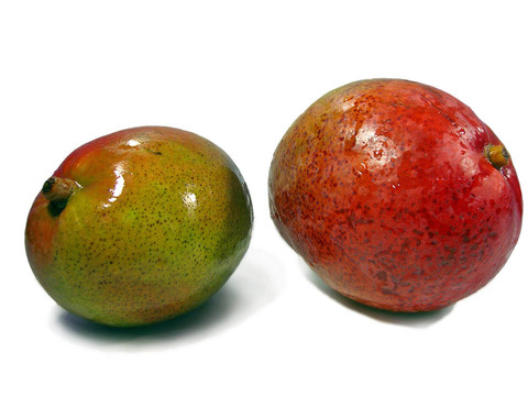 兩個(gè)芒果