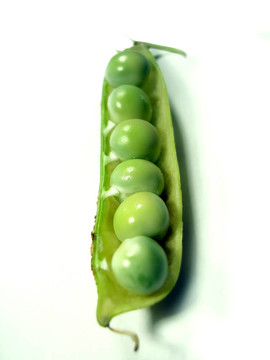 一個(gè)莢；幾個(gè)豌豆