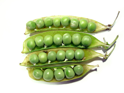 俯視豌豆