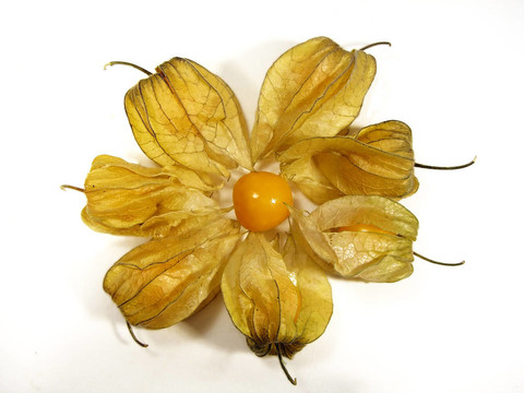 紅圈