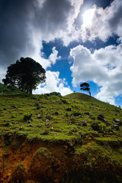 美麗的風(fēng)景