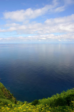 海洋