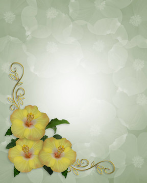芙蓉花邊框設(shè)計(jì)