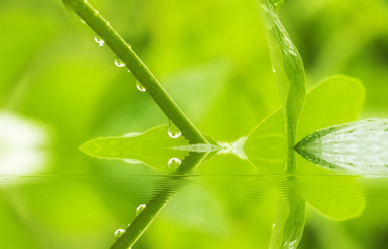落下的雨滴