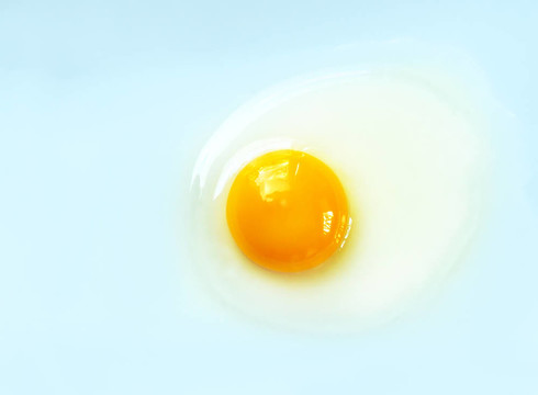 藍色背景上的生雞蛋