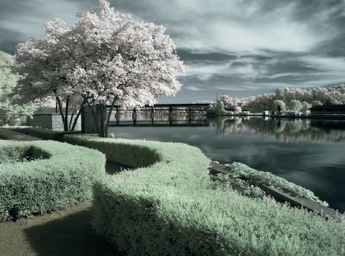 河邊花園