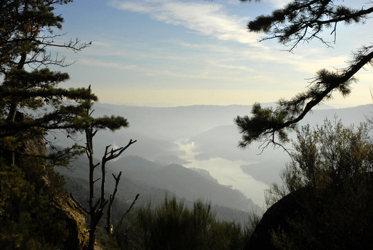 山