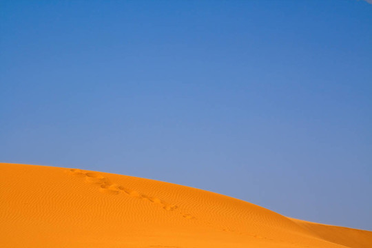 行走在Sahara