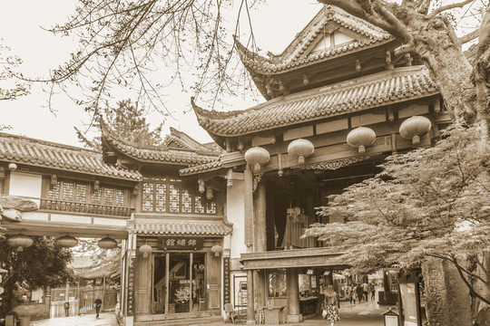 老成都