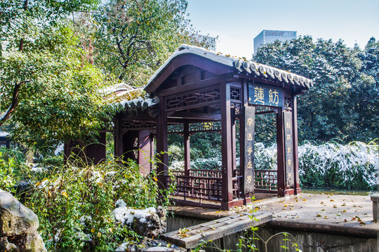 雪 蓮舫 包公園 合肥