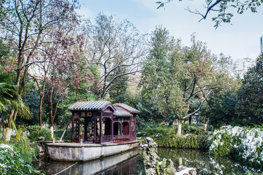 雪 蓮舫 包公園 合肥