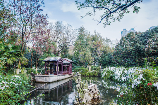 雪 蓮舫 包公園 合肥