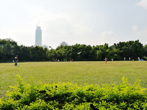 深圳洪湖公園