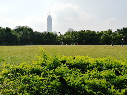 深圳洪湖公園景點(diǎn)