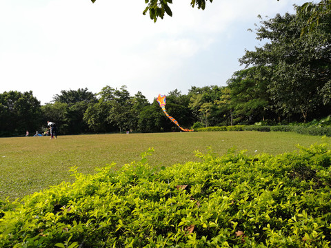 風(fēng)箏