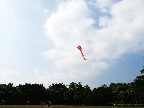 風(fēng)箏