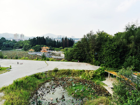 深圳洪湖公園景區(qū)