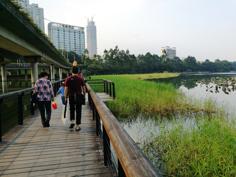 深圳洪湖公園風(fēng)景