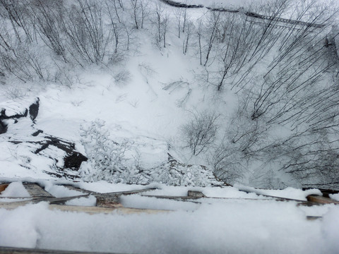 森林雪景
