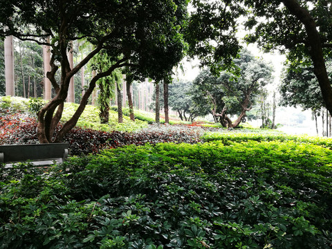 深圳中山公園景區(qū)