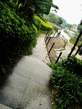 深圳中山公園