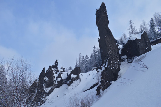 森林雪景
