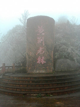 黃荊老林