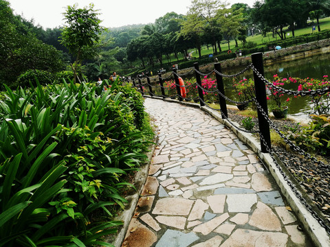 深圳中山公園風(fēng)光