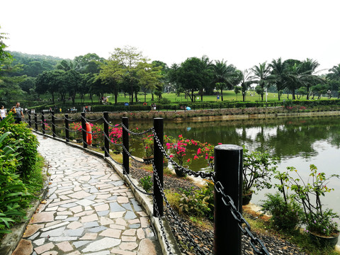 深圳中山公園風(fēng)景
