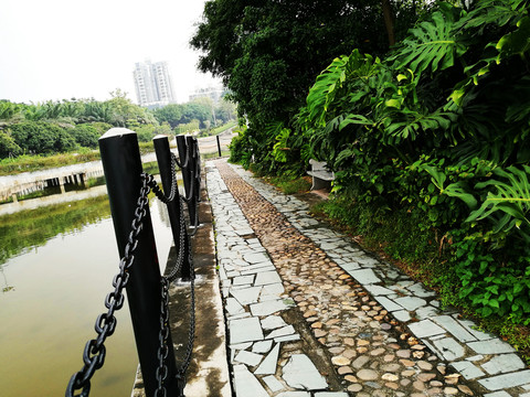 深圳南山中山公園