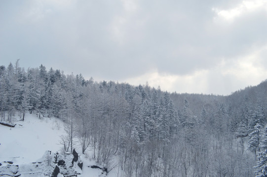 森林雪景