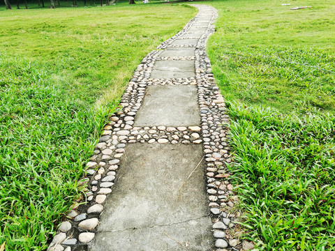 深圳中山公園草坪