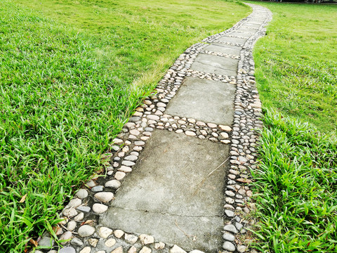 深圳中山公園草坪
