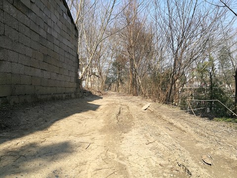 小城鎮(zhèn)風貌